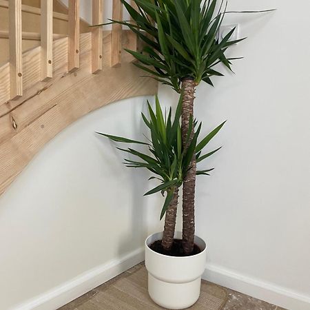 L Appartement Sete Magnifique Duplex Climatise Bagian luar foto