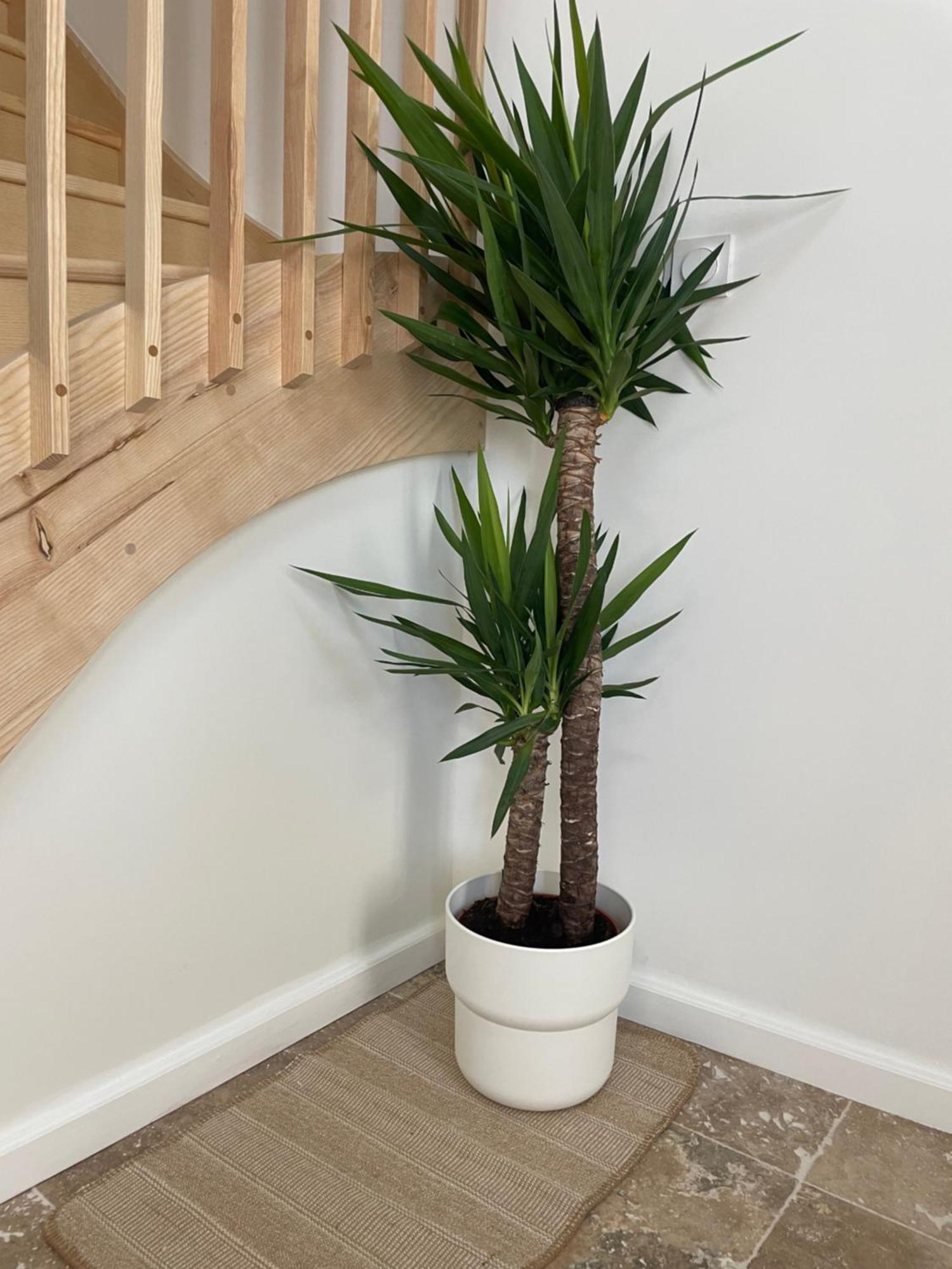L Appartement Sete Magnifique Duplex Climatise Bagian luar foto